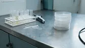 AI Stanford Rancang Virus Baru, Langkah Besar untuk Terapi Bakteriofag